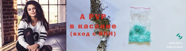 ешки Касимов