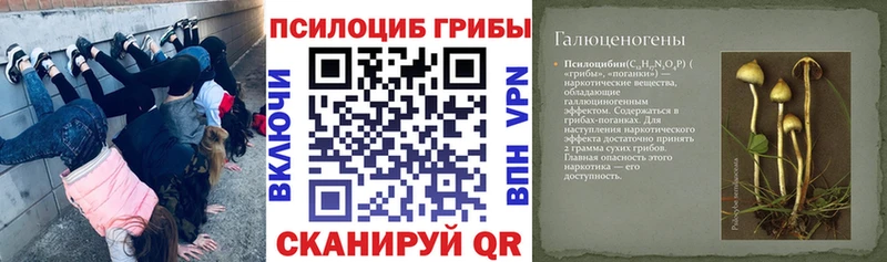 Галлюциногенные грибы Magic Shrooms купить закладку кракен ONION Петушки
